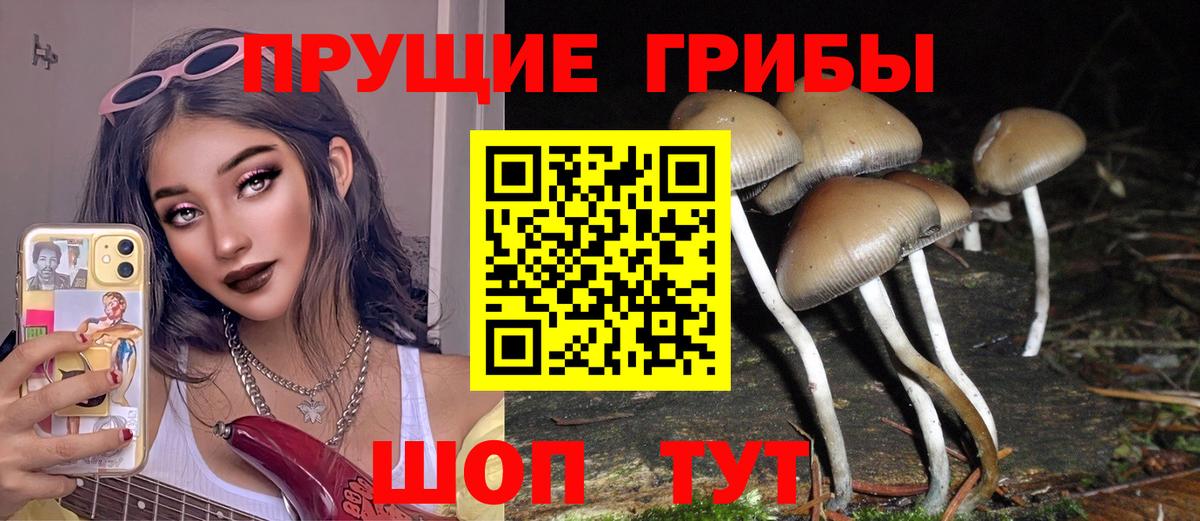 Галлюциногенные грибы Magic Shrooms  Псилоцибиновые грибы Magic Shrooms  Магнитогорск  Вход с VPN 