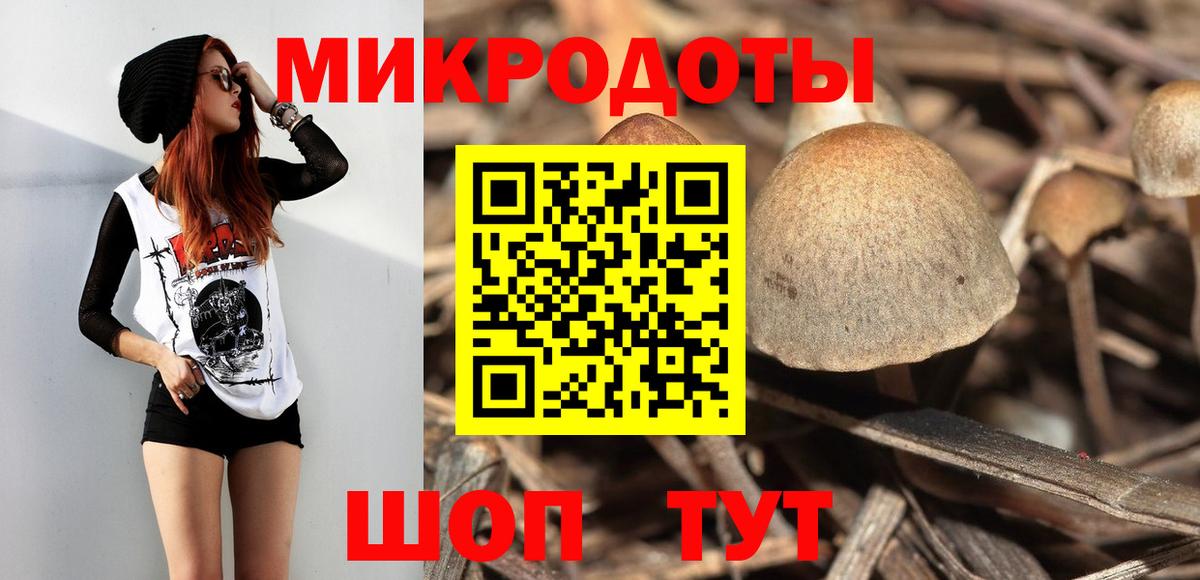 Псилоцибиновые грибы Psilocybine cubensis Магнитогорск